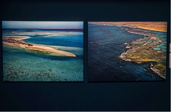 Meet the Artist: Robert Polidori